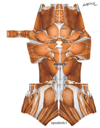 Illustration for article titled Spandex? Ewww. Anatomical Muscle Suit? Hot.